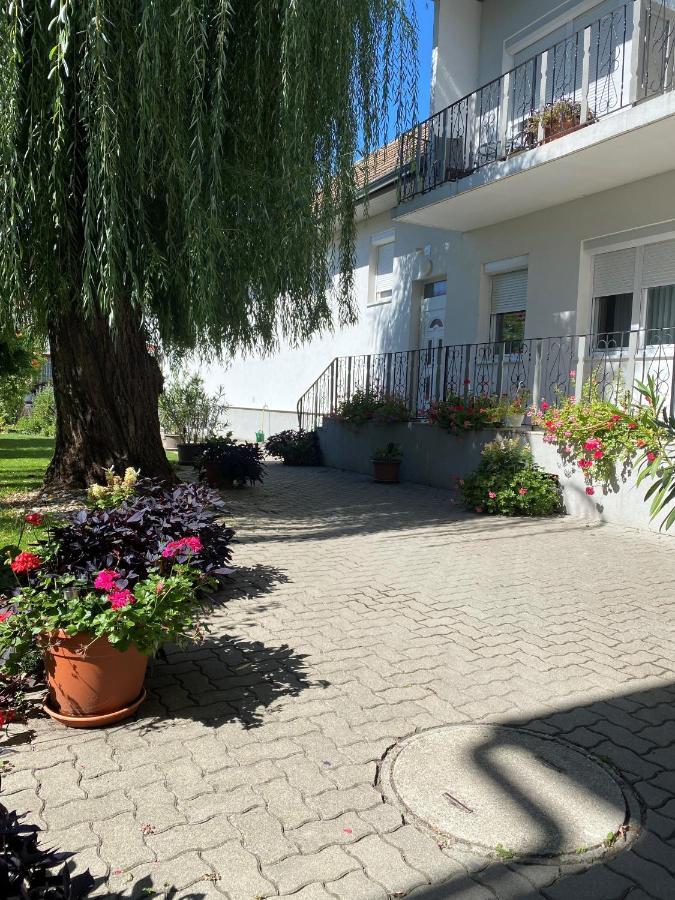 Gaestehaus & Weingut Klein Illmitz Ngoại thất bức ảnh